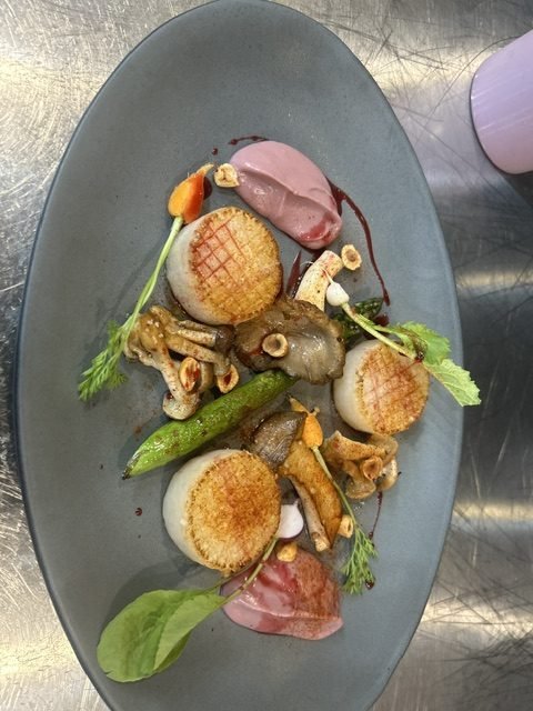 Seared scallops with mushrooms and green beans